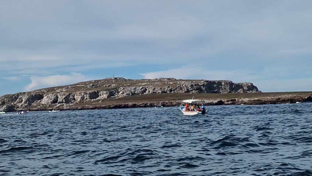 Wyspa Marietas
